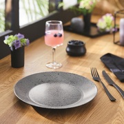 ������� ��������� Slate 25�� V0115