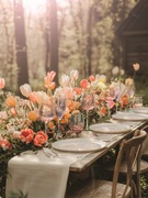 ����� ������� ��� ���� Swirly Spring 470�� V9136