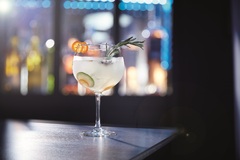 ����� ������� ��� ��������� Vina Gim&Tonic 700�� N2760/1