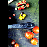 �������� 16�� �201