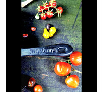 �������� 16�� �201