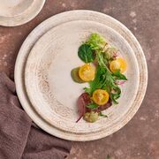 ������� ��������� Antico 19�� AN-ZT-19-DZ