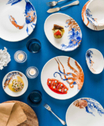 ����� ������� Aquelis 2 Moove 25�� F-AER2MOV25OV