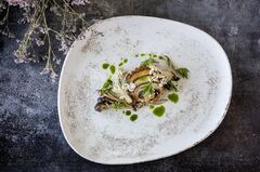 ������ �������� Nacrous 19�� MT-NCRVAO19DZ