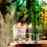 ������� ��� ����� Classic Bar 355�� 584080