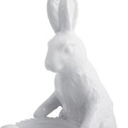 ���������� 23�23,5�10�� 5365