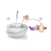 ���������� �������������� Fancy Home Rose 12�11,5�� 906910