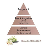 ������ ��� ��������� Aromas for the home Black Angelika 500�� 115133