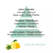 ������ ��� ��������� Aromas Zest of Verbena 200�� 6031