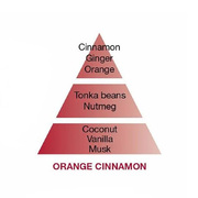 ������ ��� ��������� Aromas Orange Cinnamon 200�� 6032