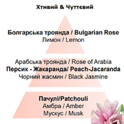 ������ ��� ��������� Aromas Underneath the Magnolias 200�� 6834