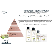 ��������� ��� �������������� ��������� Car Diffusers Wilderness 6579