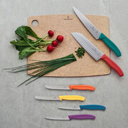 ��� ��� ������ Swiss Classic Orange Steak&Pizza 11�� Vx67239.C1