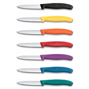 ͳ� ��� ������ ������ Swiss Classic Red Paring 8�� Vx67601.C1