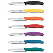 ͳ� ��� ������ ������ Swiss Classic Red Paring 10�� Vx67701.C1