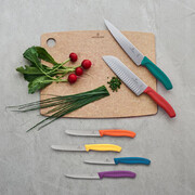 ����� ����� ��� ������� Swiss Classic Mix Tomato&Table 11�� Vx67836.6C1