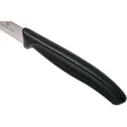 ����� ����� ��� ������� Swiss Classic Black Tomato&Table 11�� Vx67833.6
