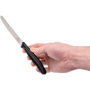 ����� ����� ��� ������� Swiss Classic Black Tomato&Table 11�� Vx67833.6