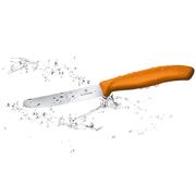 ͳ� ��� ������ Swiss Classic Orange Tomato&Table 11�� Vx67836.L119