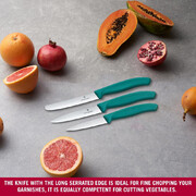 ����� ����� ��� ������ Swiss Classic Green Vx67114.34C1