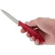 ��� ��� ������ ������ Swiss Classic Red Paring 8�� Vx67601