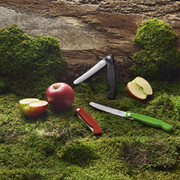 ��� �������� Swiss Classic Blue Picnic 11�� Vx67832.FC1