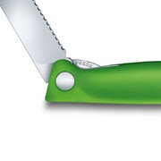 ͳ� ��������� Swiss Classic Green Picnic 11�� Vx67836.F4B