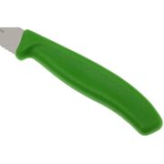 ��� ��� ������ Swiss Classic Green Steak&Pizza 12�� Vx67936.12L4