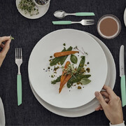 ���� �������� ������� Swiss Modern Minty 6/12 Vx69096.11W41.12