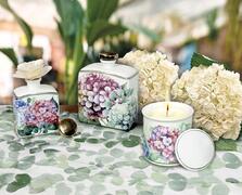 ����� � ����������� � ������� Flora 9�8,5�� 51179