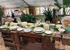 ������ Flora 400�� 51184