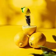 ���� ��� ���� Limone 51287