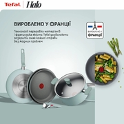 ��������� Halo Eucalyptus 28�� G0160602