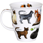 ������ Nevis Designer Cats 480��