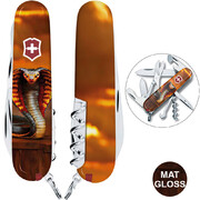 ��������� 14�1 Climber Zodiac �����'��� ����� 9,1�� Vx13703_Z4250pk