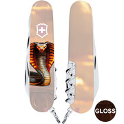 ��������� 14�1 Climber Zodiac �����'��� ����� 9,1�� Vx13703_Z4250pk