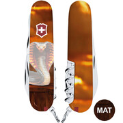 ��������� 14�1 Climber Zodiac �����'��� ����� 9,1�� Vx13703_Z4250pk