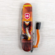 ��������� 14�1 Climber Zodiac �����'��� ����� 9,1�� Vx13703_Z4250pk