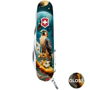 ��������� 14�1 Climber Ukraine �����-�������� 9,1�� Vx13703.3_T3210pw