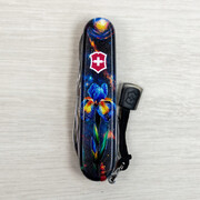��������� 14�1 Climber Design ���������� ������ 9,1�� Vx13703.3_R2070pk