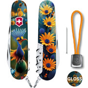 ��������� 14�1 Climber Design ����� ������ 9,1�� Vx13703.3_R2110pk