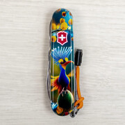 ��������� 14�1 Climber Design ����� ������ 9,1�� Vx13703.3_R2110pk