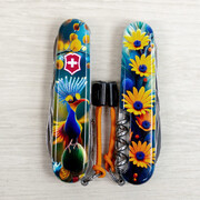 ��������� 14�1 Climber Design ����� ������ 9,1�� Vx13703.3_R2110pk