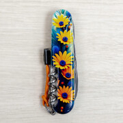 ��������� 14�1 Climber Design ����� ������ 9,1�� Vx13703.3_R2110pk