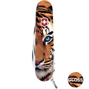 ��������� 14�1 Climber Animal ���� 9,1�� Vx13703_F1030pw