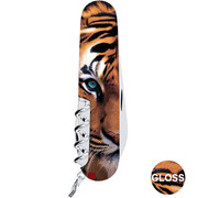 ��������� 14�1 Climber Animal ���� 9,1�� Vx13703_F1030pw