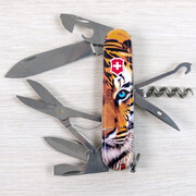 ��������� 14�1 Climber Animal ���� 9,1�� Vx13703_F1030pw