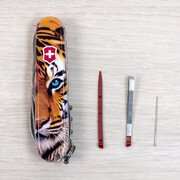 ��������� 14�1 Climber Animal ���� 9,1�� Vx13703_F1030pw