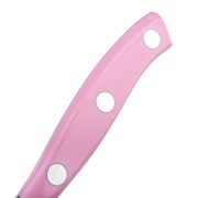    Riviera Pink 25 231054