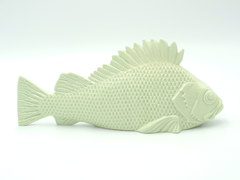  PerchFish - 1636